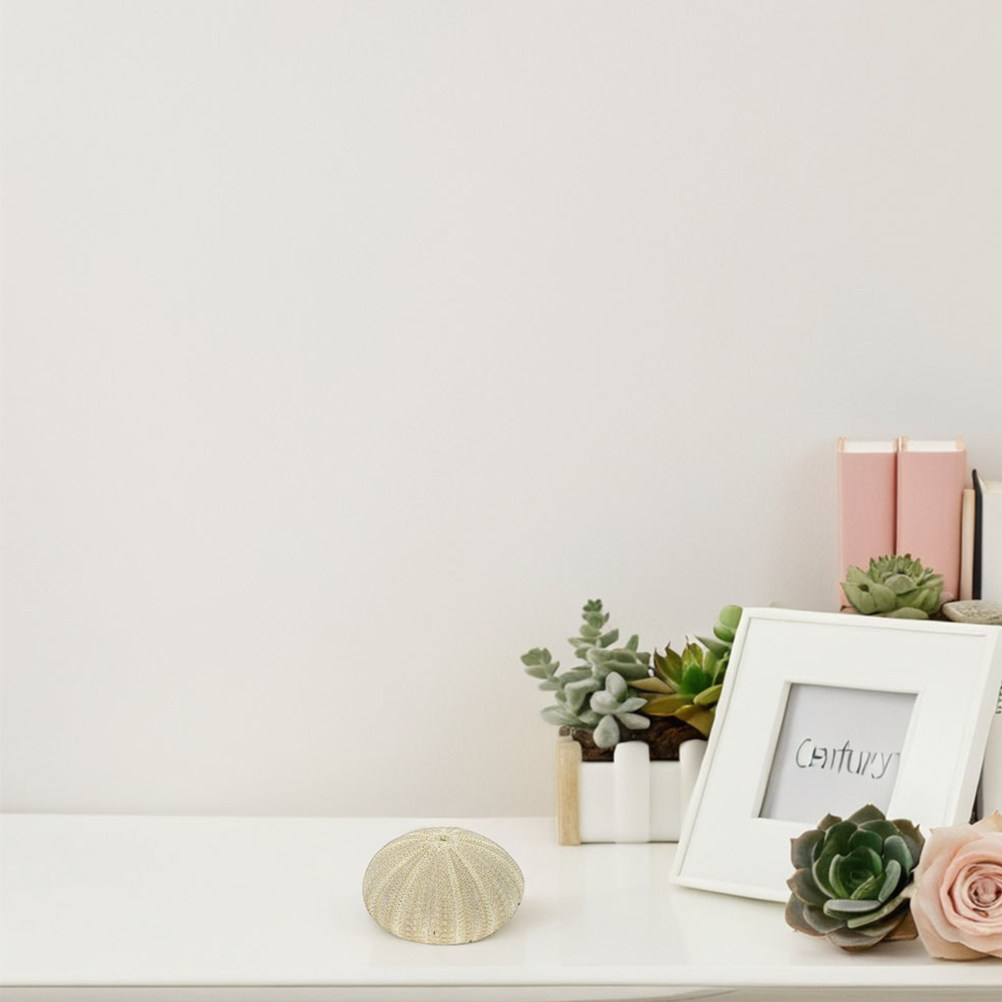18 Adet Denizkabuğu Vazo Dolgu - Art Craft Project incelemesi ve fiyatı