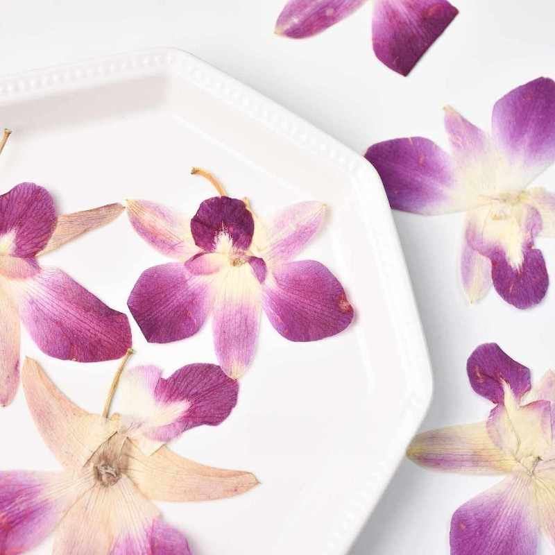 4 adet, Gerçek Preslenmiş Kele - Art And Craft Photos incelemesi ve fiyatı