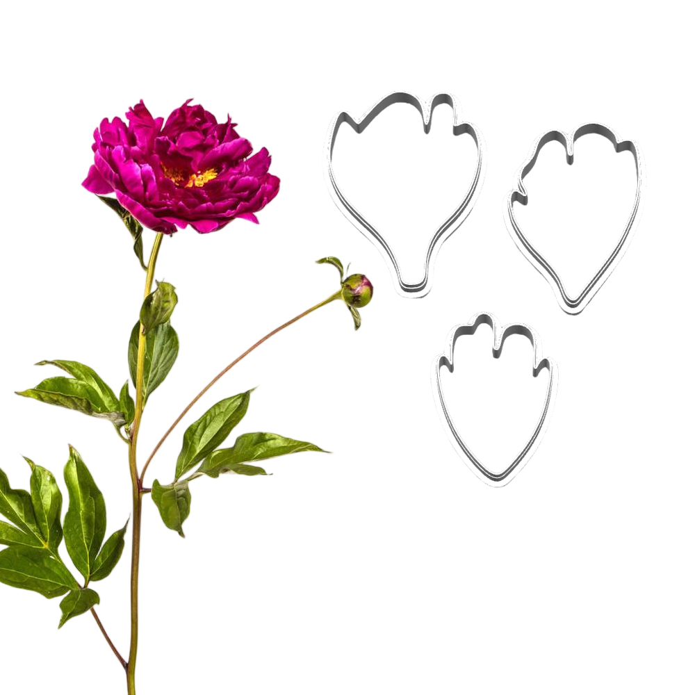 Yeni Şakayık Silikon Kalıplar  - Art Craft Picture incelemesi ve fiyatı
